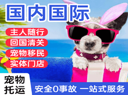 揭阳潮汕机场邮寄国际宠物托运 【国